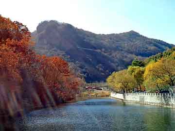 奥门天天开奖免费资料，步步巅峰